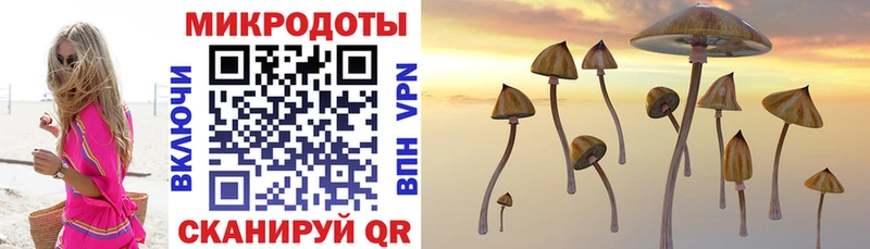 Псилоцибиновые грибы GOLDEN TEACHER Кропоткин